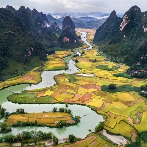 Immersion au pays du Dragon Visuel